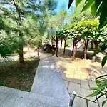 Nyaraló Holiday 